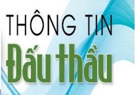 Thông tư số: 11/2019/TT-BKHĐT